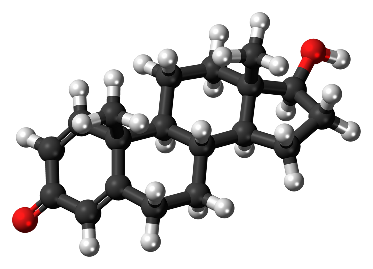 宝丹酮（Boldenone）功效作用及副作用，宝丹酮价格及购买方式 - 第2张  | 合成代谢类固醇购买